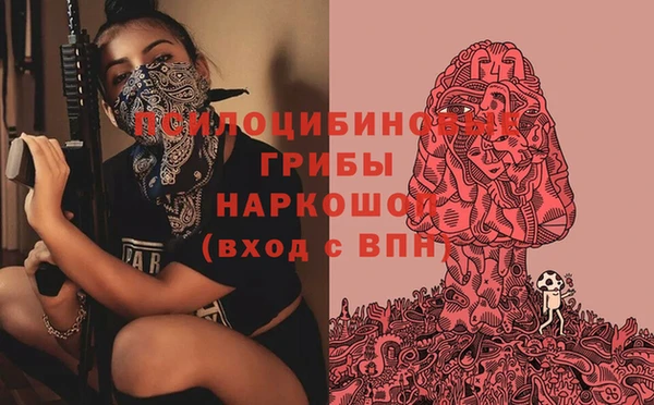 каннабис Арсеньев