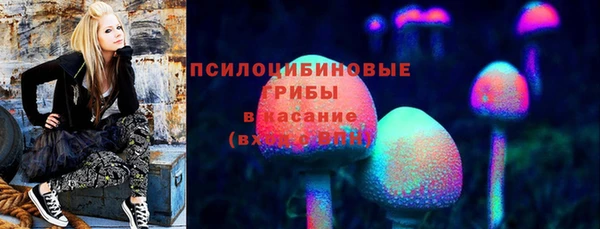 прущая мука Аркадак